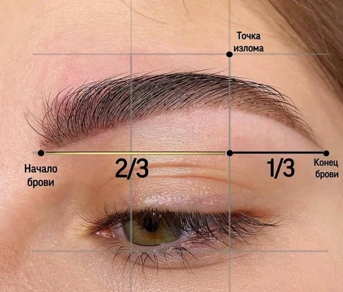 Идеальные брови