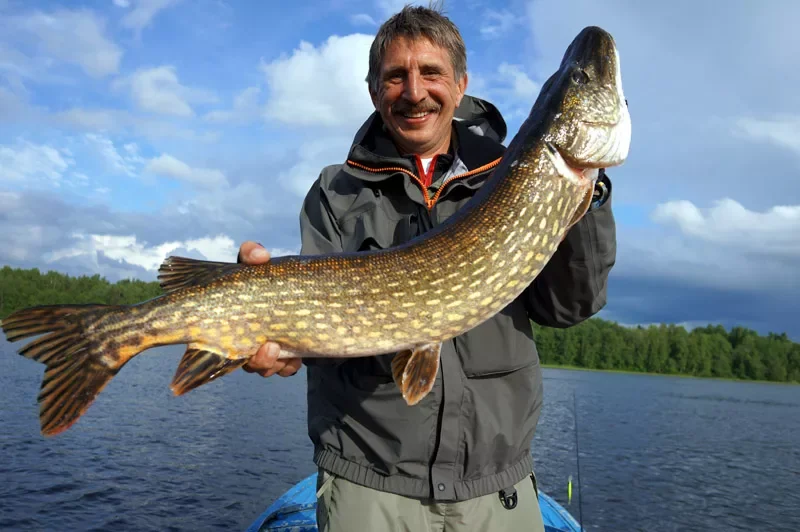 Можно ли беременным заниматься спортом?