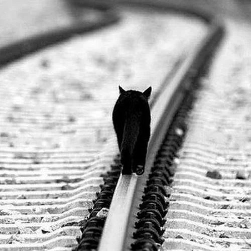 Откуда пришла примета не возвращаться с полдороги