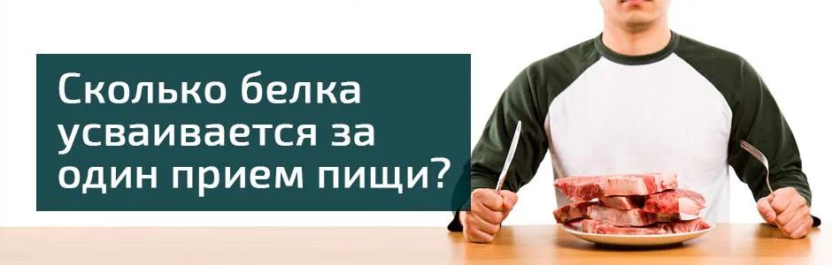 Сколько белка должен содержать один прием пищи