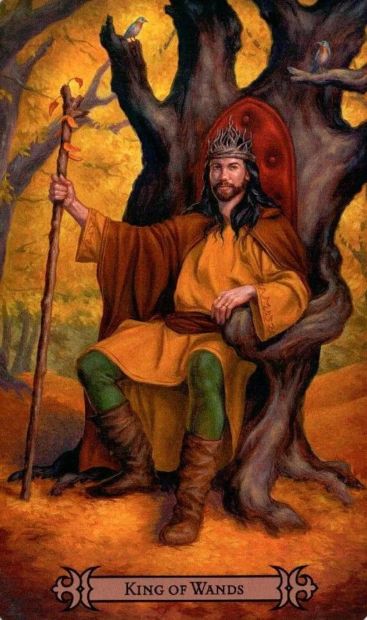 Всё о Короле Кубков