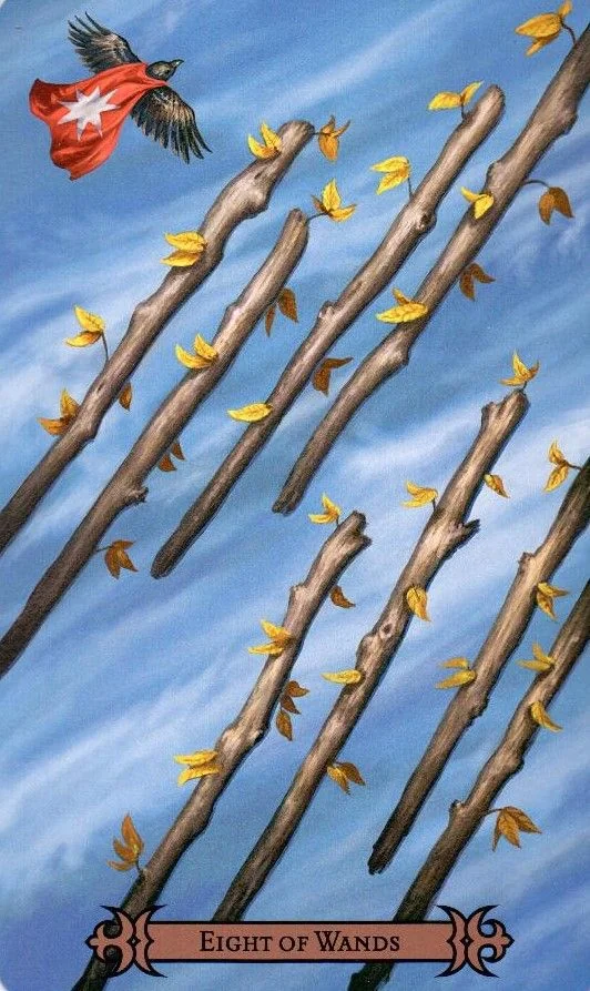 Всё о 8 жезлов