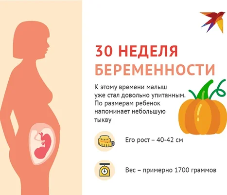 30-я неделя беременности
