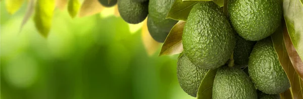 8 продуктов, которые помогут справиться с тревогой