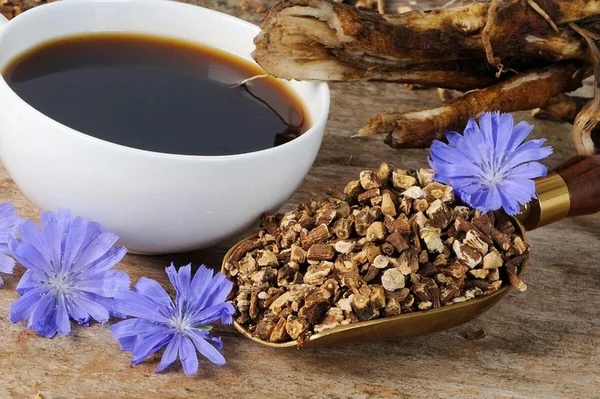 Без кофеина: чем полезен цикорий