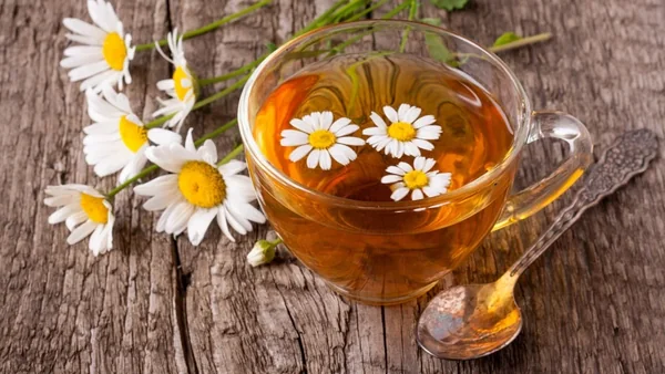 Какие травы и отвары помогают для запоминания учебной информации?