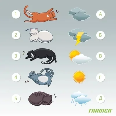 Приметы по погоде на учёбу